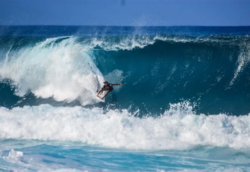 Riding the Google AI Wave: Lessons from the Frontline Riding the Google AI Wave: Lessons from the Frontline