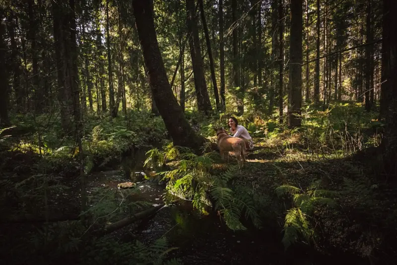 Forest Bathing for Remote Workers: Nature’s Prescription for Digital Fatigue