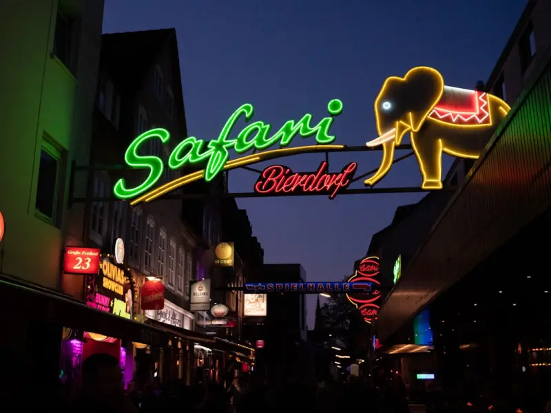 Chasing Flavors: A Street‑Food Safari That Redefines Wanderlust Chasing Flavors: A Street‑Food Safari That Redefines Wanderlust