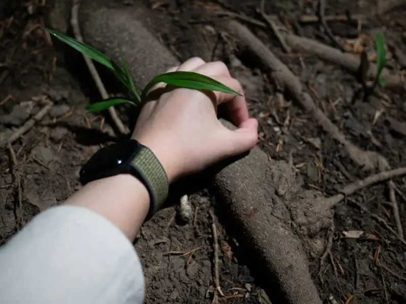 Wearable Tech and Biofeedback: The New Frontier for Workplace Stress Management