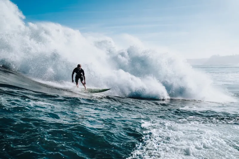 Riding the Google AI Wave: Balancing Creativity and Data