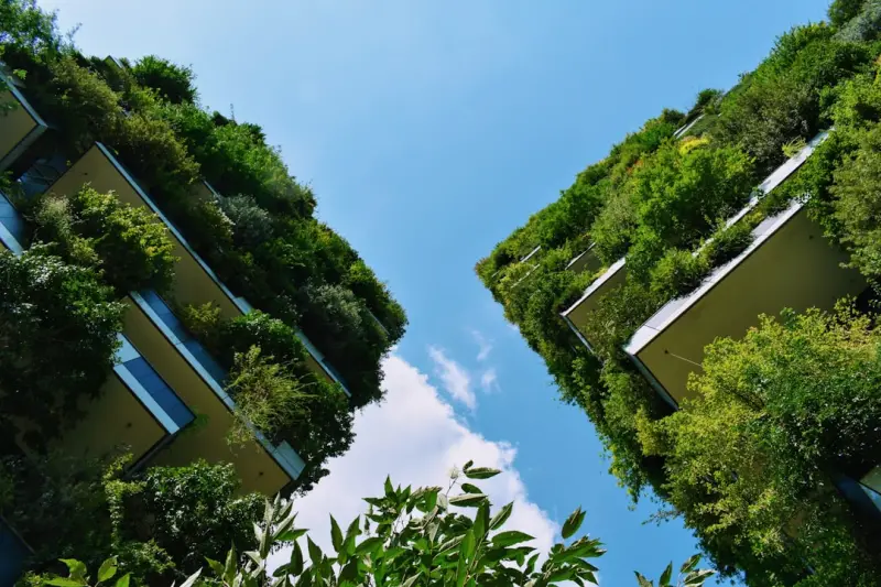 Sustainable Cloud Computing: Turning Green Into a Business Advantage