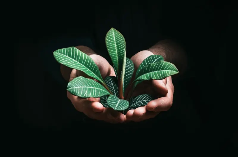 When AI Meets Sustainability: Greening SaaS Operations at Scale