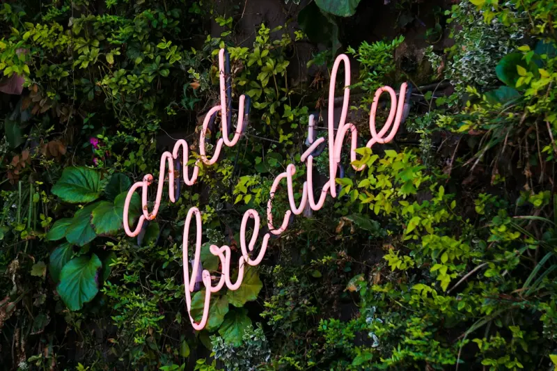 Breathe Easy: A Practical Guide to Boosting Indoor Air Quality at Home