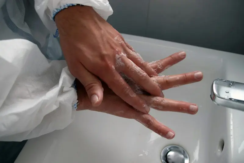 Sensory Hygiene: Curating Your Environment for Peak Health and Performance