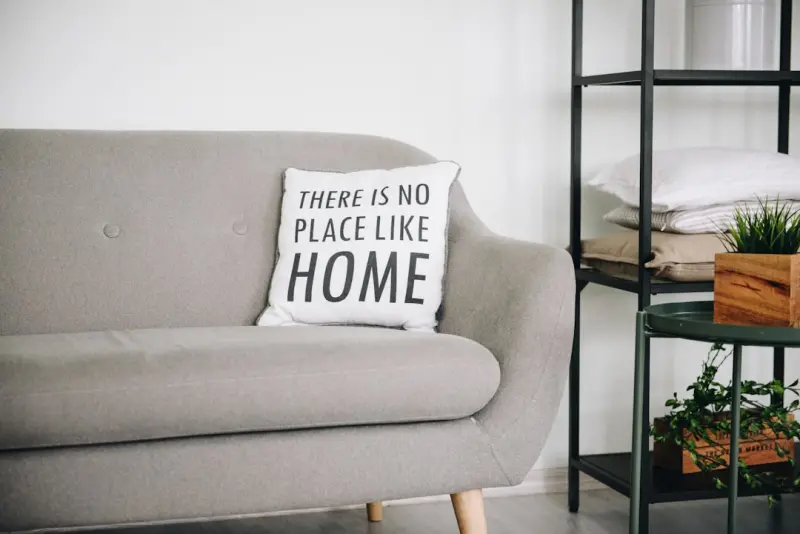 The Green Reset: How Houseplants Can Revitalize Your Living Space