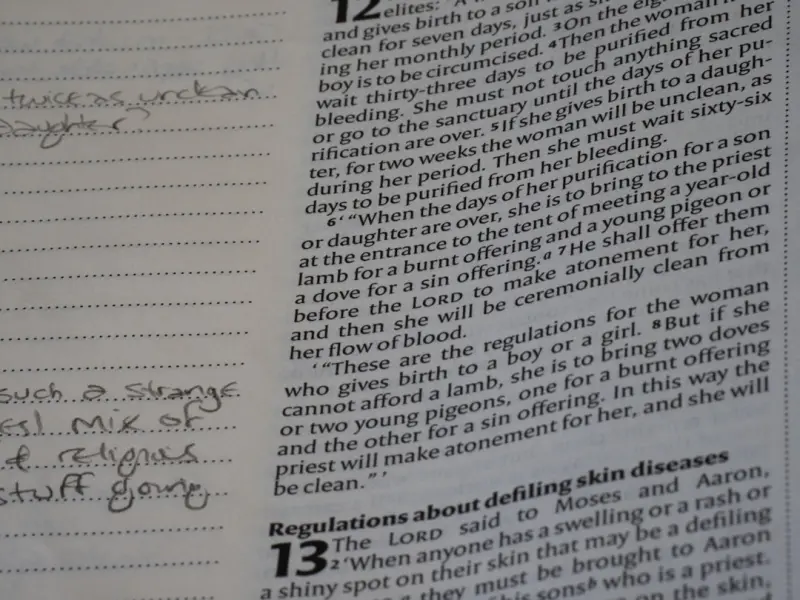 The Ephemeral Edge: Turning 24‑Hour Stories into Long‑Term Growth