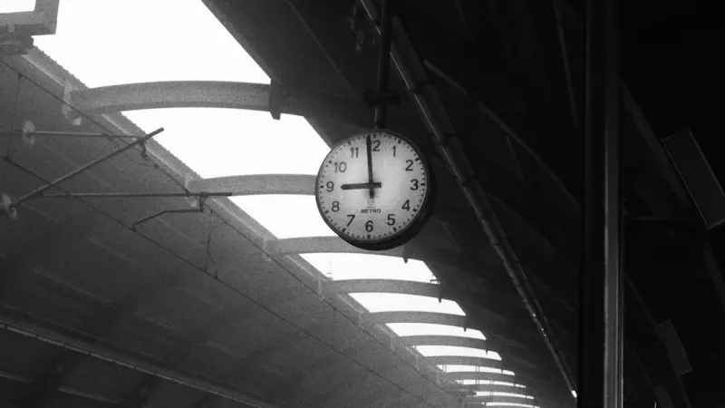 Rewiring Your Internal Clock: Harnessing Natural Light for Peak Health and Performance