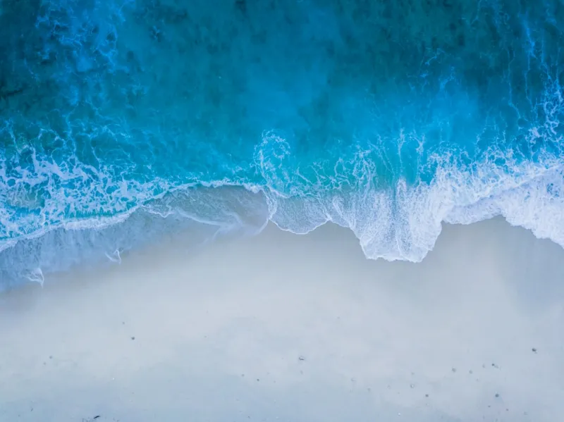 Surfing the 2026 Google AI Wave: A Marketer’s Insider Playbook