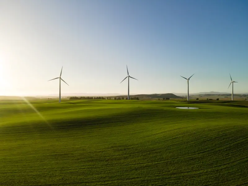 Green Gains: How Sustainable Marketing Fuels B2B SaaS Growth Green Gains: How Sustainable Marketing Fuels B2B SaaS Growth