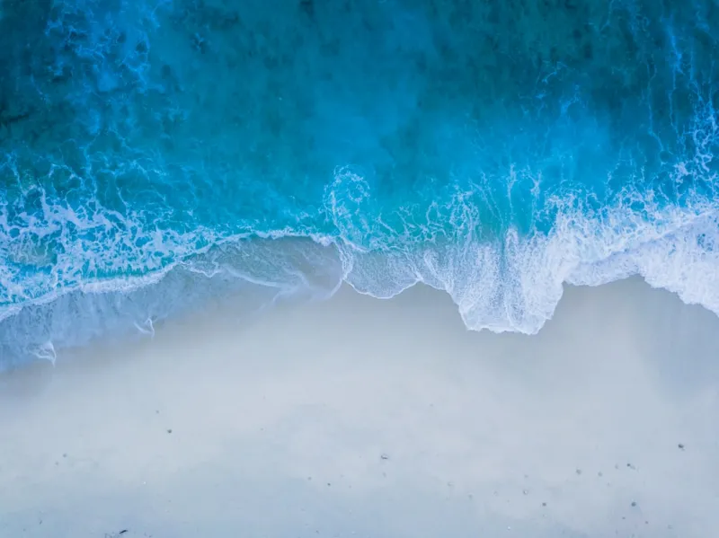 Google AI Wave: Why Human Connection Still Wins