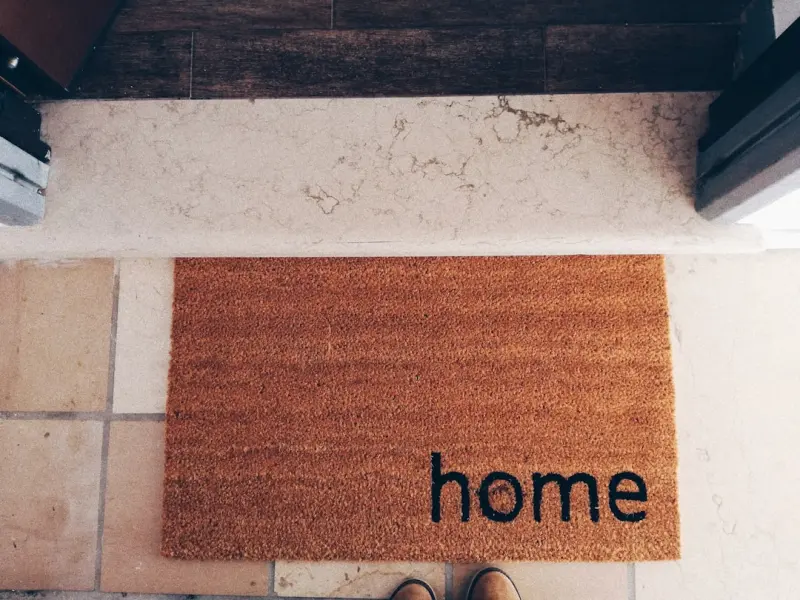 Bring the Outdoors In: A Practical Guide to Biophilic Home Design