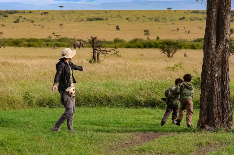 The Sensory Safari: Designing Trips That Engage All Five Senses