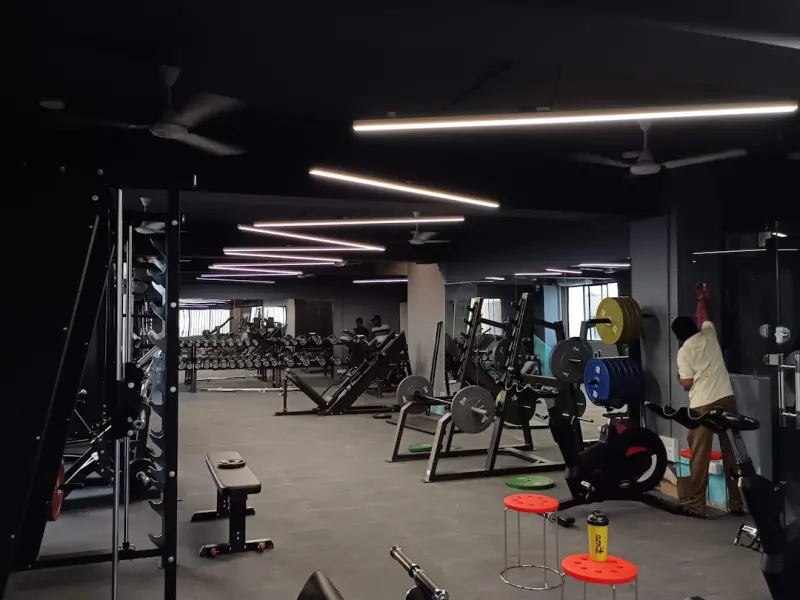 Beyond the Gym: Designing an Integrated Health Ecosystem for Modern Professionals