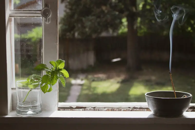 Breathe Easy: Simple Home Hacks for Healthier Air
