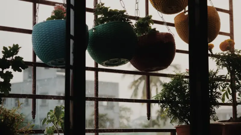 The Low‑Maintenance Indoor Garden: Green Living for Busy Homes