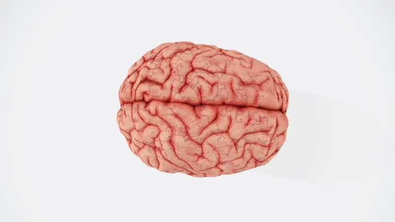 Rewiring Your Brain: The Surprising Health Benefits of Digital Minimalism