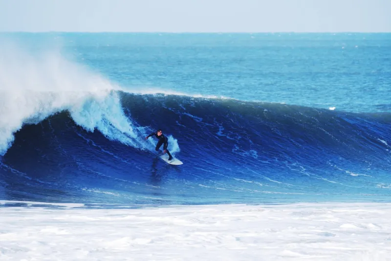 Riding the Google AI Wave: Rose DesRochers’ Insider Take on 2024’s Hottest Trends
