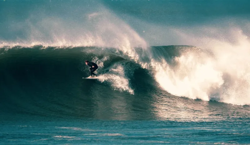 Riding the Google AI Wave: Rose DesRochers’ Insider Perspective on the Latest Revolution Riding the Google AI Wave: Rose DesRochers’ Insider Perspective on the Latest Revolution