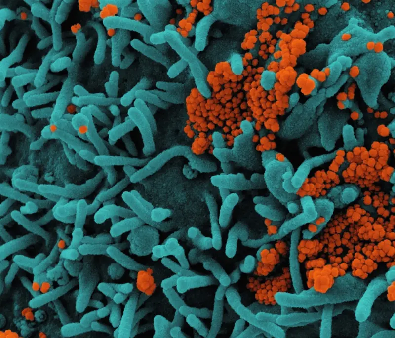 Resetting Your Microbiome: A 30‑Day Blueprint for Vibrant Health