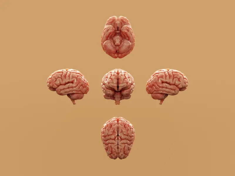 The Hidden Power of Micro‑Breaks: Rewiring Your Brain for Resilience