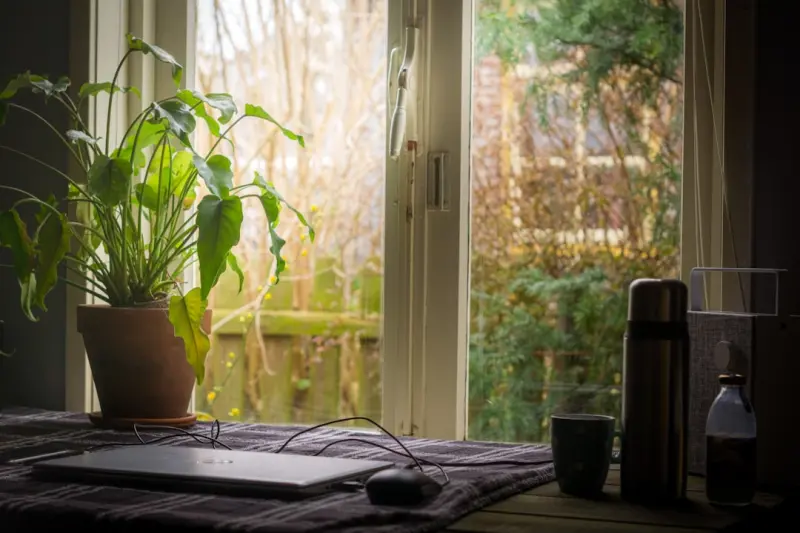 Breathwork, Green Spaces, and Nutrition: A Remote Worker’s Health Blueprint